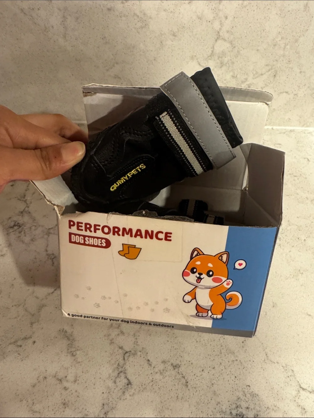 3/$15! 🎈 Performance Dog Shoes Box with Cartoon Shiba Inu